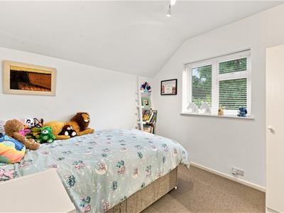 Picture 29